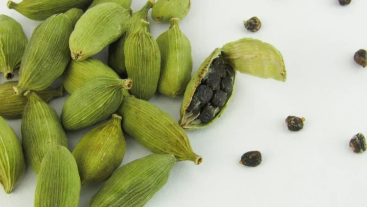 रात में सोने से पहले खाएं एक हरी इलायची, पाचन से लेकर सांस तक कई परेशानियों में मिल सकता है फायदा