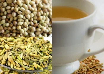 सौंफ-धनिया का पानी सेहत के लिए वरदान, जानें कब और कैसे पिएं सही तरीके से