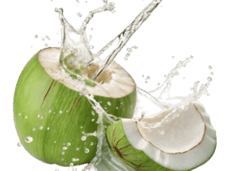 किन लोगों के लिए नारियल पानी हो सकता है नुकसानदायक? जानिए पीने से पहले जरूरी सावधानियां