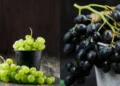 हरे या काले अंगूर—कौन ज्यादा मीठा और सेहत के लिए बेहतर? जानिए यहां।