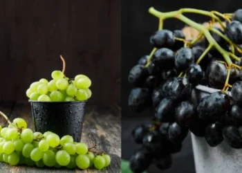 हरे या काले अंगूर—कौन ज्यादा मीठा और सेहत के लिए बेहतर? जानिए यहां।