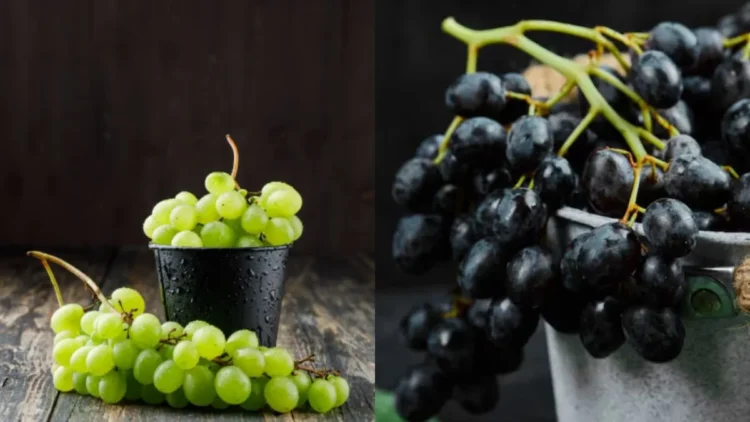 हरे या काले अंगूर—कौन ज्यादा मीठा और सेहत के लिए बेहतर? जानिए यहां।
