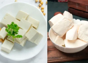 पनीर या टोफू, जानें कौन है सेहत और प्रोटीन के लिए ज्यादा फायदेमंद