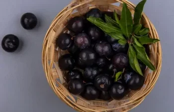 गर्मी में क्यों है जामुन सुपरफूड?  जानिए छोटे से फल में छिपे हैं सेहत के बड़े फायदे