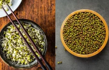 सुबह के नाश्ते में अंकुरित मूंग शामिल करें, सेहत को मिलेंगे कई जबरदस्त लाभ