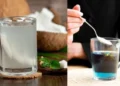 गर्मी में डिहाइड्रेशन से बचने के लिए क्या पिएं? जानिए कौन सा ड्रिंक शरीर को सबसे तेजी से हाइड्रेट करता है और लू से बचाव में मददगार है