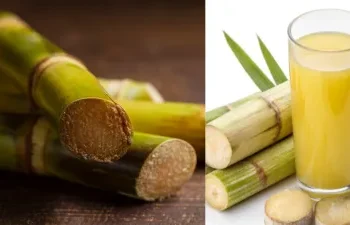 गर्मी के मौसम में क्यों पीना चाहिए गन्ने का रस? जानिए  इसके जबरदस्त फायदे