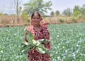 साय सरकार की पहल से सशक्त हुई महिलाएं : हमेश्वरी राठौर बनीं “लखपति दीदी”