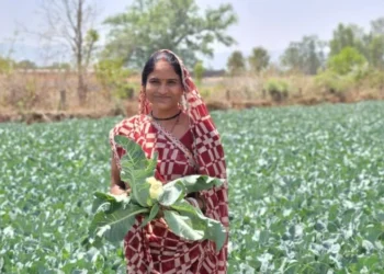 साय सरकार की पहल से सशक्त हुई महिलाएं : हमेश्वरी राठौर बनीं “लखपति दीदी”