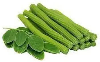 गर्मियों में सेहत के लिए वरदान है मोरिंगा, जानिए इसके सेवन के जबरदस्त फायदे और सही तरीका