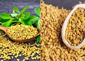 30 दिन तक एक चम्मच भीगे हुए मेथी दाने खाने से क्या होता है? जानें सेहत पर इसका क्या असर होगा ?