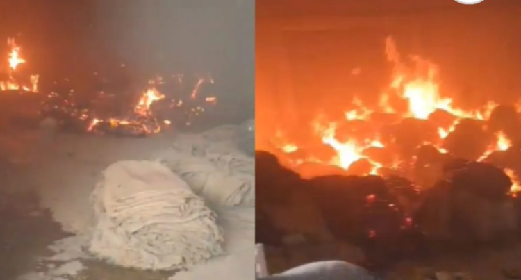 छत्तीसगढ़ के इस जिले में राइस मिल के गोदाम में लगी भीषण आग, धान और बारदाना जलकर खाक, लाखों का नुकसान