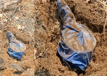 कांकेर-नारायणपुर बॉर्डर पर बड़ी साजिश नाकाम, मुरूसुलनापा जंगल में 2 प्रेशर कुकर IED निष्क्रिय