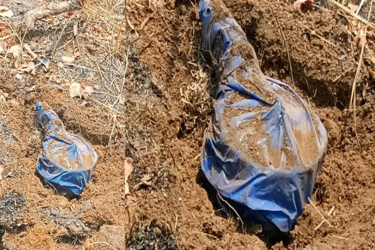 कांकेर-नारायणपुर बॉर्डर पर बड़ी साजिश नाकाम, मुरूसुलनापा जंगल में 2 प्रेशर कुकर IED निष्क्रिय