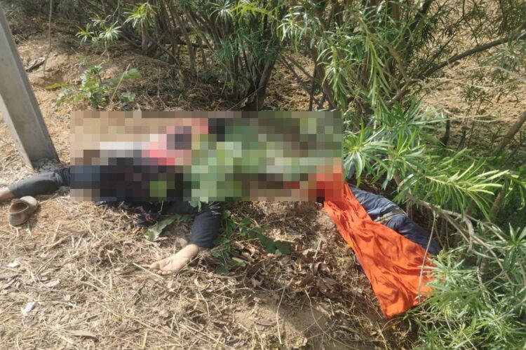 सडक़ हादसे में 3 युवकों की मौत, 3 बिजली खंभे से जा टकराए तो 3 को स्कॉर्पियो ने मारी टक्कर, 3 घायल