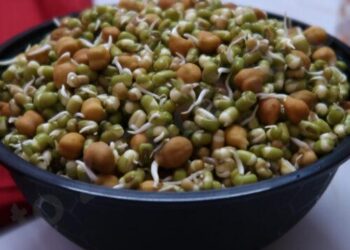 खाली पेट अंकुरित मूंग और चना खाने से मिलते हैं जबरदस्त फायदे, जानिए सही तरीका और समय