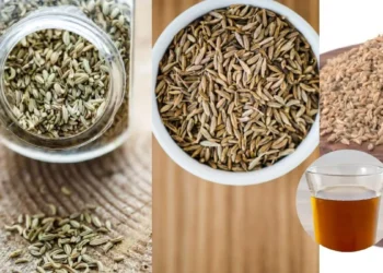 सुबह खाली पेट पिएं सौंफ-जीरा-अजवाइन का पानी, पाचन दिक्कतों से मिलेगा राहत