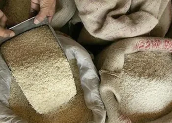 छत्तीसगढ़ में 7 अप्रैल को ‘चावल उत्सव’, हितग्राहियों को एकमुश्त तीन महीने का राशन मिलेगा