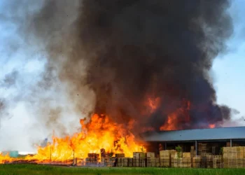 राइसमिल के भूसे में लगी भीषण आग, दो श्रमिक झुलसे, एक की हालत गंभीर