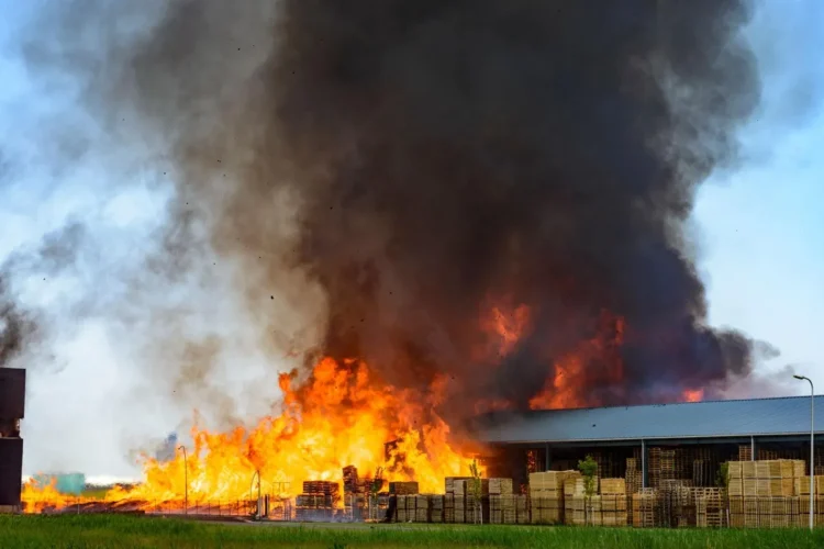राइसमिल के भूसे में लगी भीषण आग, दो श्रमिक झुलसे, एक की हालत गंभीर