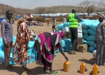 चाड के पूर्वी हिस्से में पानी के विवाद ने लिया हिंसक रूप, 42 लोगों की मौत, सेना ने संभाला मोर्चा