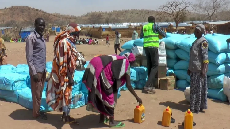 चाड के पूर्वी हिस्से में पानी के विवाद ने लिया हिंसक रूप, 42 लोगों की मौत, सेना ने संभाला मोर्चा