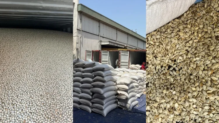 तरबूज के बीज और हरी मटर की तस्करी का भंडाफोड़, DRI ने 132 कंटेनर पकड़े; करोड़ों का माल जब्त