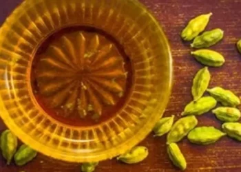 सुबह-सुबह खाली पेट इलायची का पानी पीने से शरीर को मिलते हैं जबरदस्त फायदे