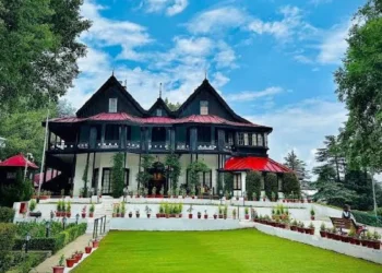 इतने दिन के लिए दिल्ली से शिमला शिफ्ट होगा राष्ट्रपति कार्यालय, मिट्टी से बने 175 साल पुराने इमारत में रहेंगी द्रौपदी मुर्मू