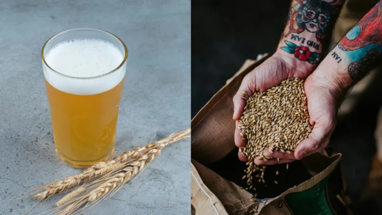 सुबह खाली पेट जौ का पानी पीने से मिलते हैं कई फायदे, गर्मियों में शरीर को रखता है ठंडा