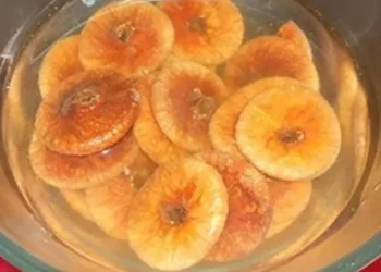 अंजीर का पानी पीने से क्या होता है, सेहत को मिल सकते हैं चौतरफा लाभ, जानिए कमाल के फायदे