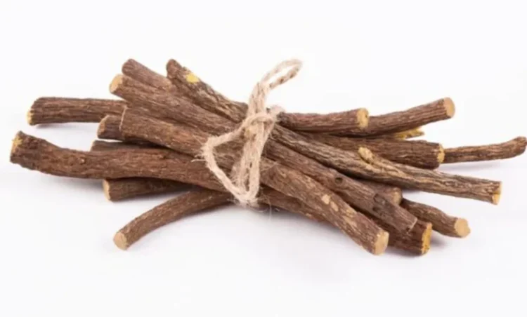 अमृत नहीं ब्रह्मास्त्र है यह छोटी सी लकड़ी, सर्दी-खांसी के साथ पेट को रखे फिट