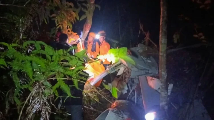 इंडोनेशिया के बोर्नियो द्वीप पर बड़ा हादसा, पाम ऑयल प्लांटेशन के पास हेलीकॉप्टर क्रैश, सभी 8 लोगों की मौत