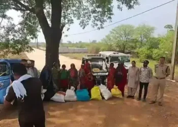 छत्तीसगढ़ पुलिस के हाथ लगी बड़ी सफलता, 104 किलो गांजा के साथ 8 महिला समेत 11 तस्कर गिरफ्तार