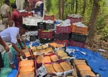 छत्तीसगढ़ में गांजा तस्करी का भंडाफोड़, 1.3 करोड़ का गांजा के साथ एक तस्कर गिरफ्तार