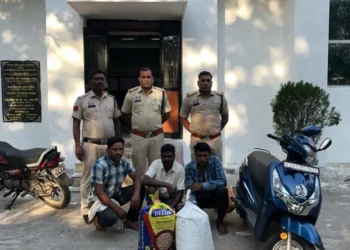 “ऑपरेशन आघात” के तहत लगातार दूसरे दिन गांजा तस्करों पर रायगढ़ पुलिस की बड़ी कार्रवाई