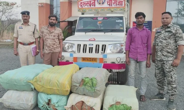 छत्तीसगढ़ में गांजा तस्करी नेटवर्क का पर्दाफाश, 1.14 करोड़ से ज्यादा का गांजा के साथ दो तस्कर गिरफ्तार