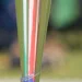 टी20 वर्ल्ड कप लिए BCCI ने टीम इंडिया का किया ऐलान, इस खिलाड़ी को पहली बार मिला मौका