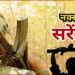 सुरक्षाबलों मिली बड़ी सफलता, 20 लाख के इनामी नक्सली कपल का आत्मसमर्पण