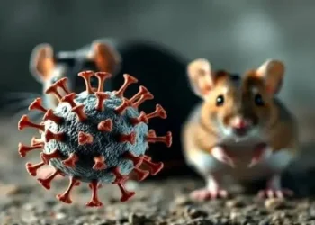 Coronavirus के बाद “हंता” वायरस ने दी दस्तक, 3 की मौत, इंसानों से इंसानों में फैलने की खबर से मचा हड़कंप