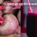 सात दिनों तक रोजाना बीटरूट का जूस पीने से शरीर को मिलते हैं जबरदस्त फायदे, जानें पीने का सही तरीका