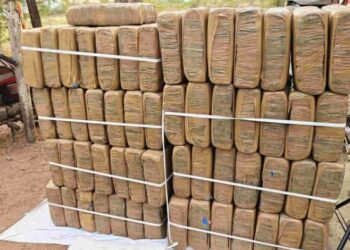 छत्तीसगढ़ पुलिस की बड़ी कार्रवाई; वाहन की जांच में 400 किलो से ज्यादा गांजा बरामद, 5 तस्कर गिरफ्तार