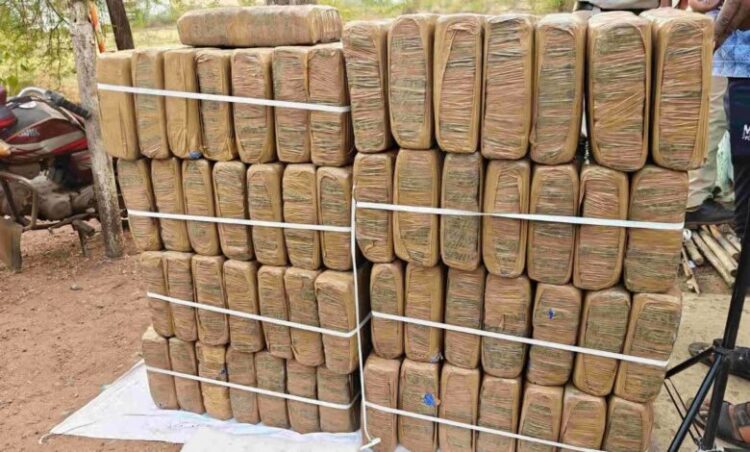 छत्तीसगढ़ पुलिस की बड़ी कार्रवाई; वाहन की जांच में 400 किलो से ज्यादा गांजा बरामद, 5 तस्कर गिरफ्तार