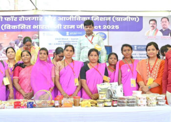 मुख्यमंत्री के कार्यक्रम में बिहान समूह की महिलाओं ने बिखेरी आजीविका की चमक