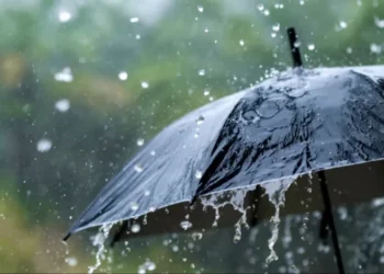 छत्तीसगढ़ में दस्तक दे सकता है मानसून, इन राज्यों में हीटवेव का अलर्ट जारी