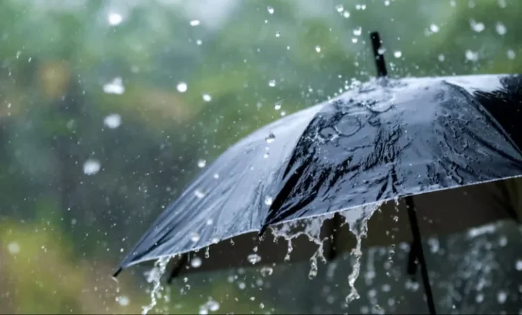 छत्तीसगढ़ में दस्तक दे सकता है मानसून, इन राज्यों में हीटवेव का अलर्ट जारी