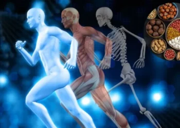 हड्डियां मजबूत बनाने के लिए रोजाना खाएं ये ड्राई फ्रूट्स