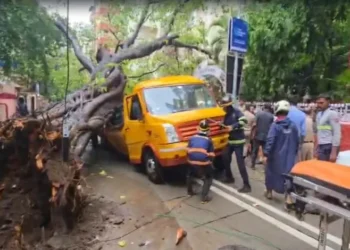 चलती स्कूल बस पर पेड़ गिरने से एक छात्र की मौत, 4 घायल