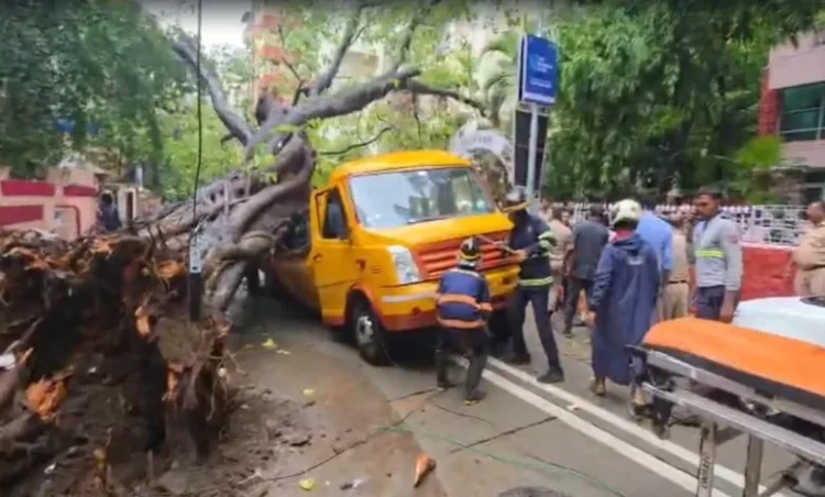 चलती स्कूल बस पर पेड़ गिरने से एक छात्र की मौत, 4 घायल