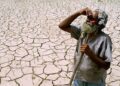 छत्तीसगढ़ में मंडराया El Nino का खतरा? किसानों को नुकसान से बचाने साय सरकार ने शुरू की तैयारी